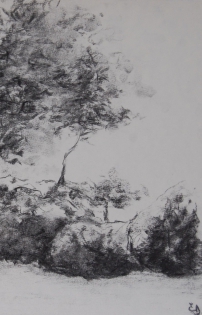 rocher,dessin,arbre Fusain et pierre noire