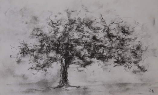 Cerisier,dessin,dessin arbre Carbón y piedra negra