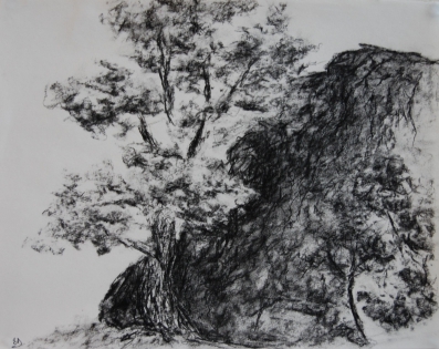 Arbre, rocher, dessin fusain Fusain et pierre noire