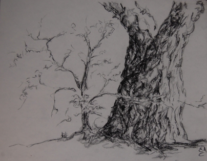 arbre,dessin,dessin fusain Carbón y piedra negra